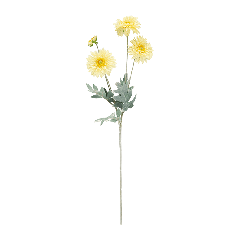 Gerbera Daisy Bouquet