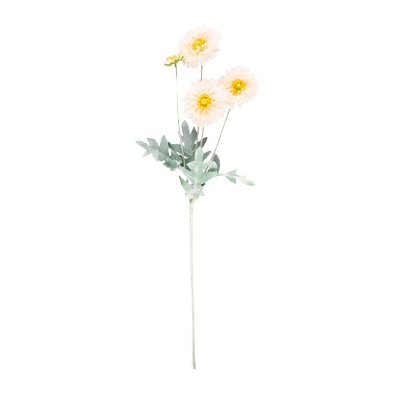 Gerbera Daisy Bouquet