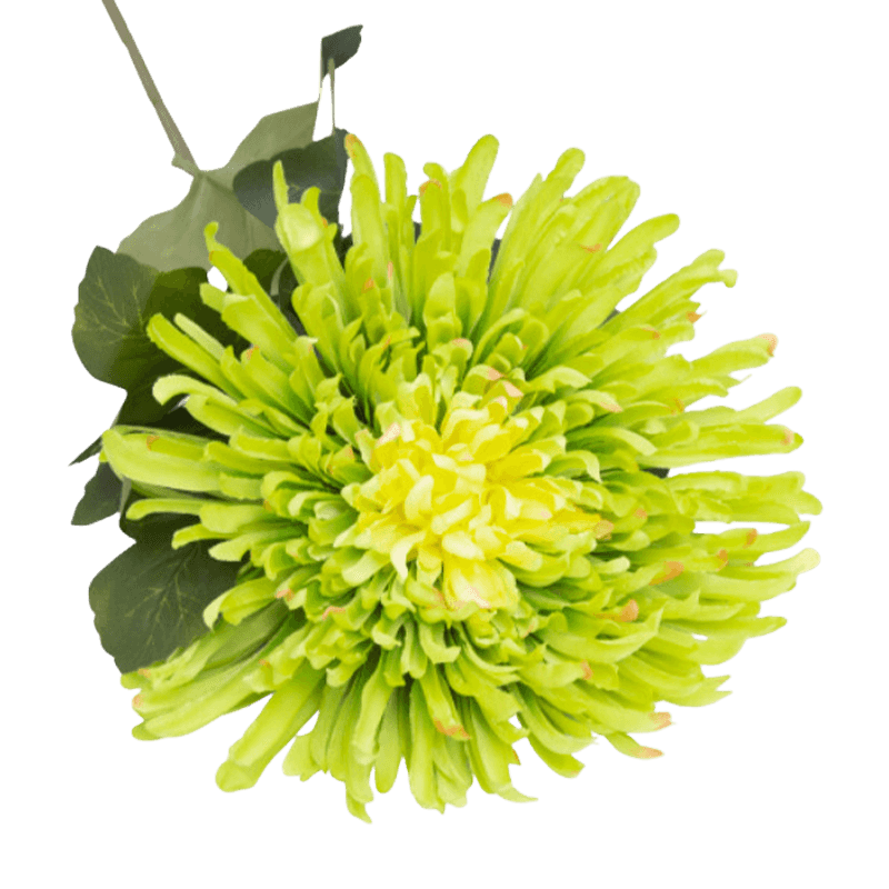 Daisy Flower With 4 Leaves 70cm