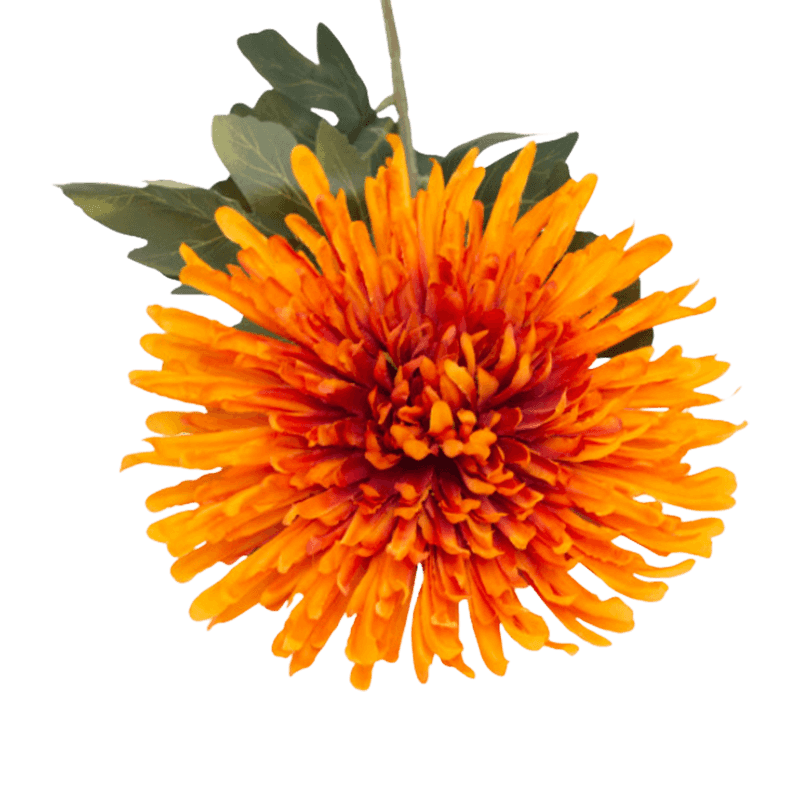 Daisy Flower With 4 Leaves 70cm