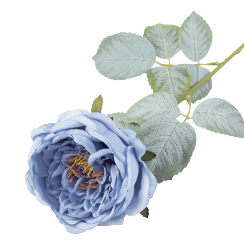 24" Artificial Vintage Apricot Austin Rose Stem