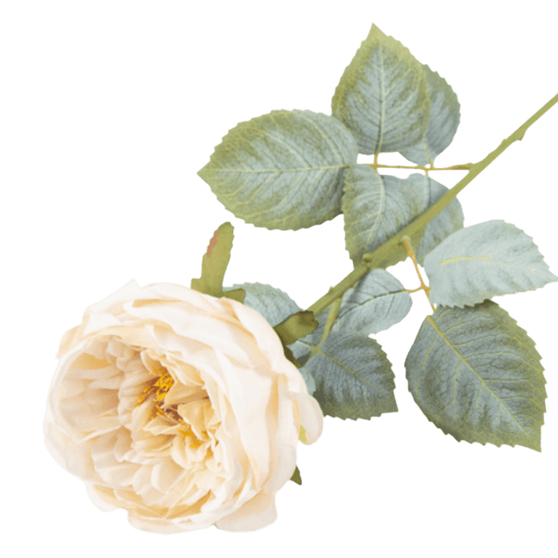 24" Artificial Vintage Apricot Austin Rose Stem