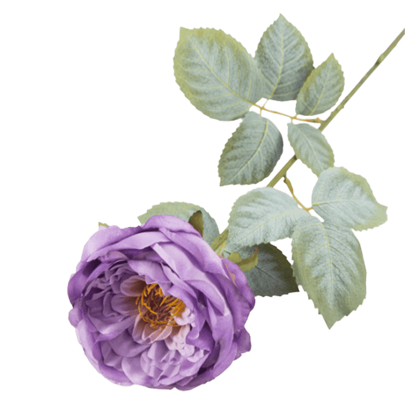 24" Artificial Vintage Apricot Austin Rose Stem