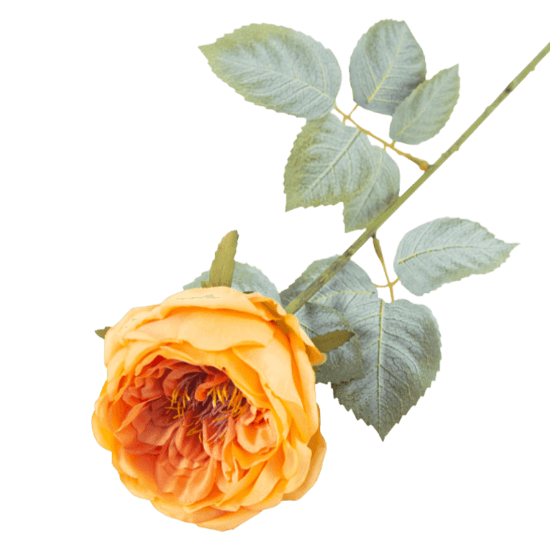 24" Artificial Vintage Apricot Austin Rose Stem
