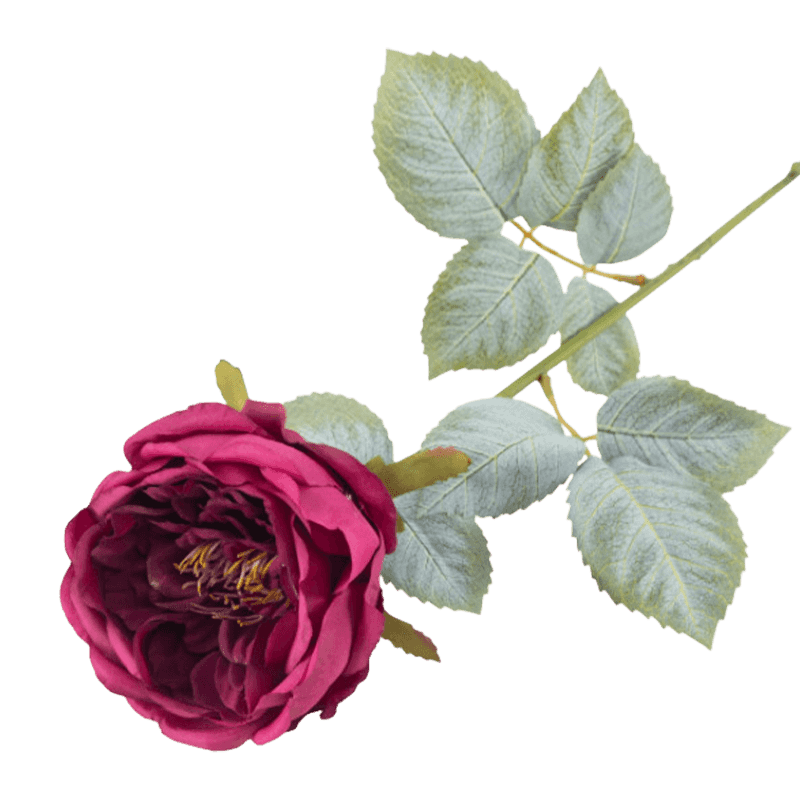 24" Artificial Vintage Apricot Austin Rose Stem