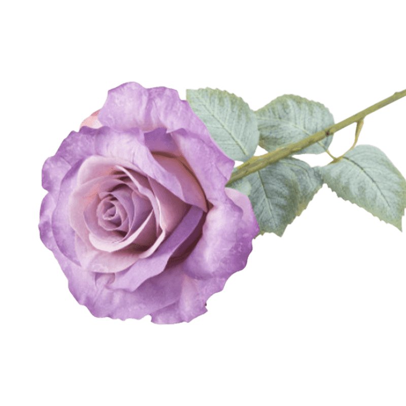 Artificial Single Head Rose Stem
