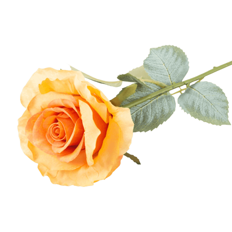 Artificial Single Head Rose Stem