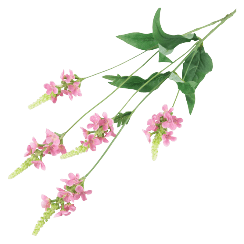 Single Herb With 5 Flowers 72cm