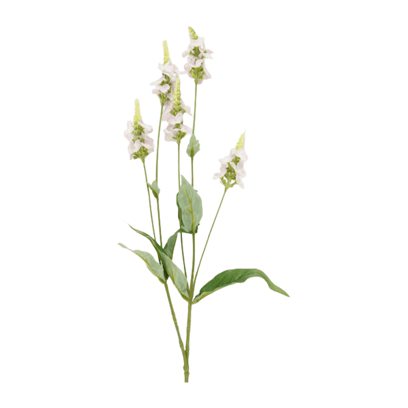 Single Herb With 5 Flowers 72cm