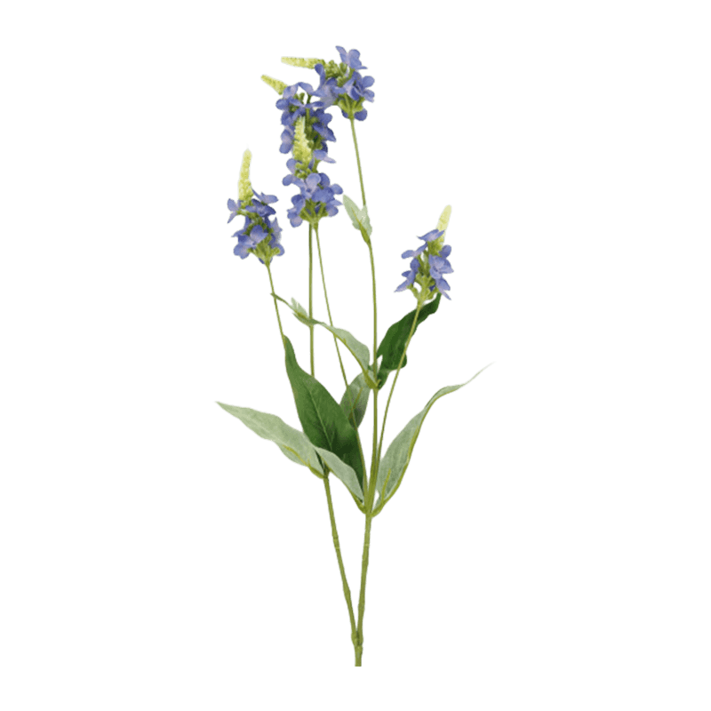 Single Herb With 5 Flowers 72cm