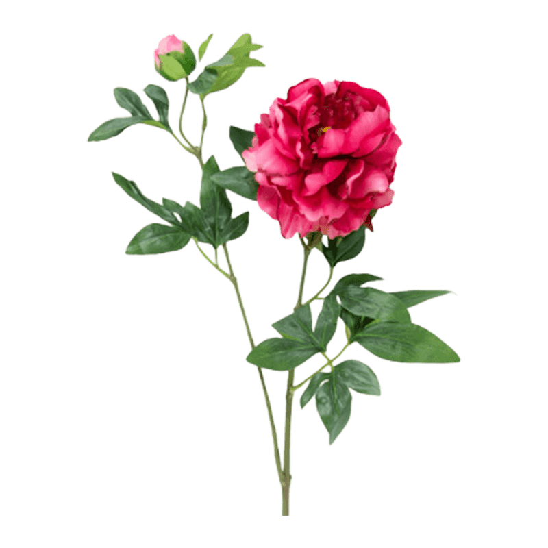 5cm Artificial 2-Bloom Peony Single Stem