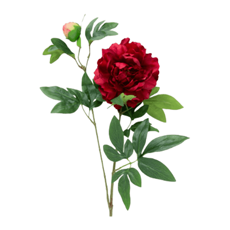 5cm Artificial 2-Bloom Peony Single Stem