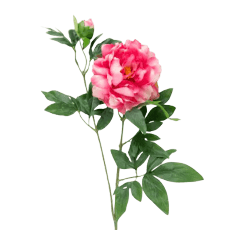 5cm Artificial 2-Bloom Peony Single Stem