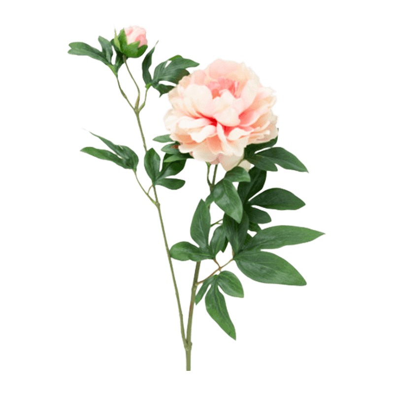 5cm Artificial 2-Bloom Peony Single Stem