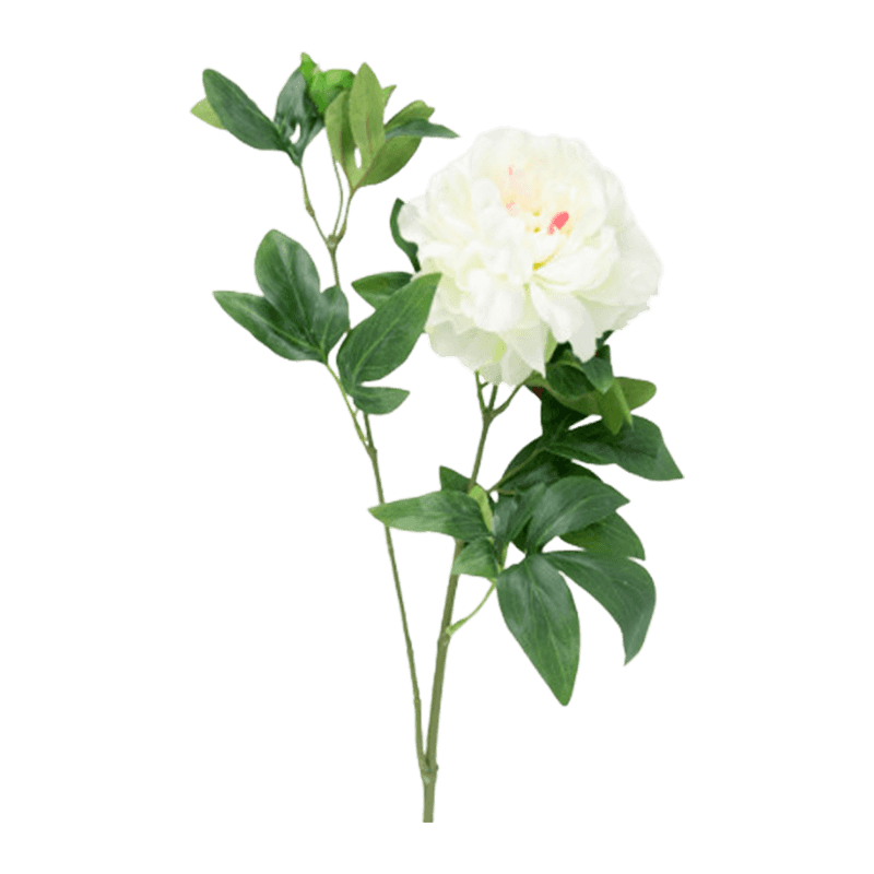 5cm Artificial 2-Bloom Peony Single Stem