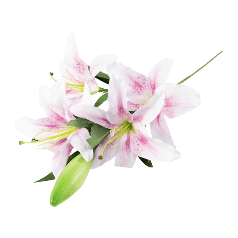 3D Print Artificial Lily Flower