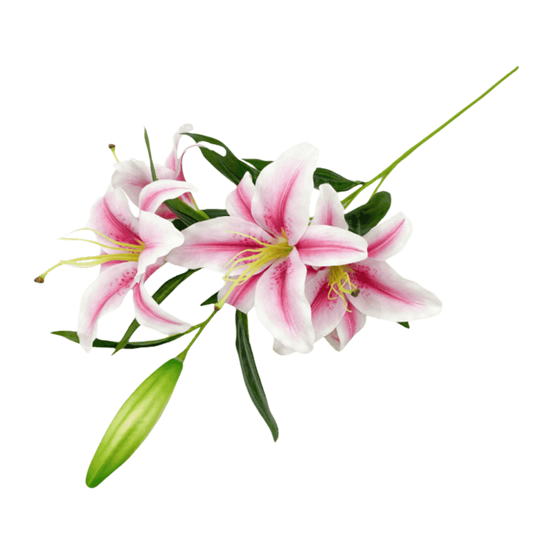 3D Print Artificial Lily Flower