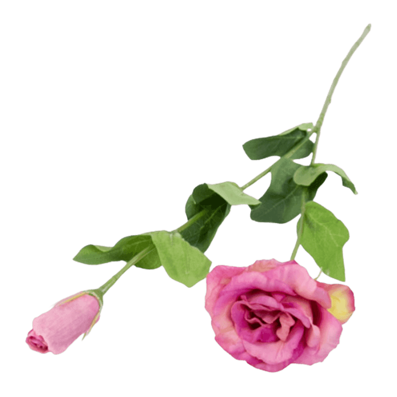 24.5" Real Touch Ballon Flower With 2 Flower