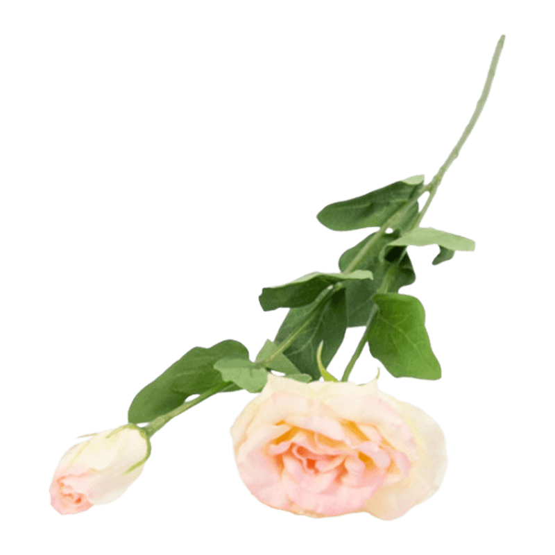 24.5" Real Touch Ballon Flower With 2 Flower