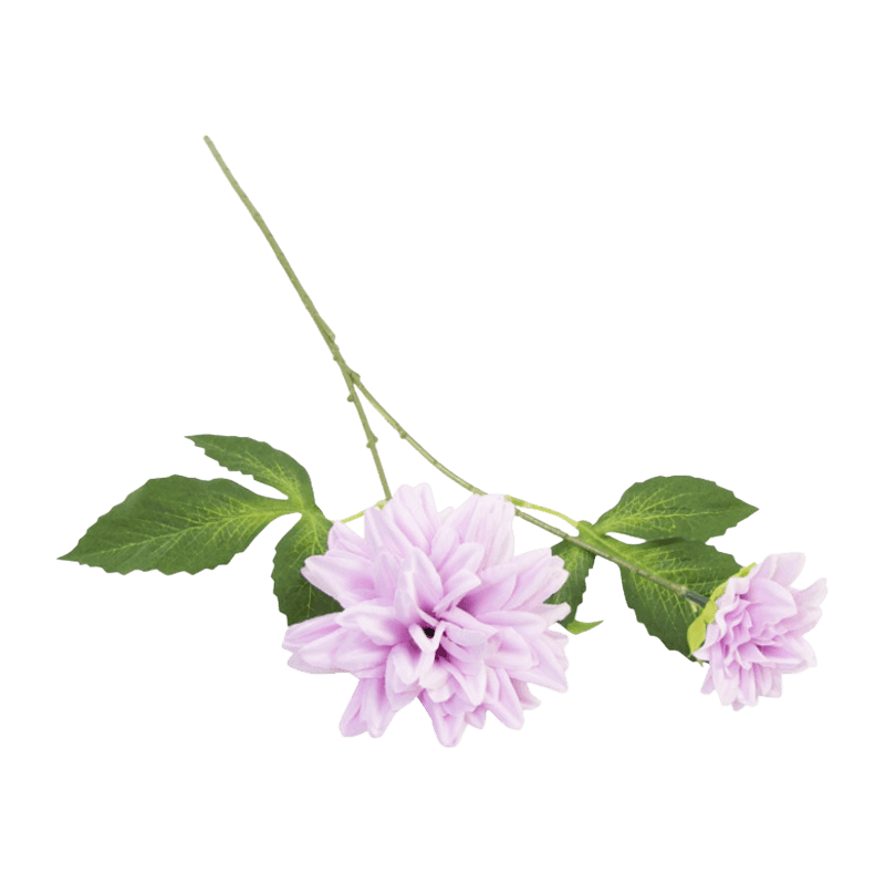 29"H Single Dahlia With Two Flowers