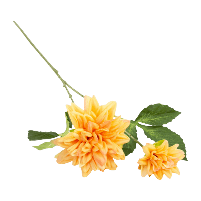29"H Single Dahlia With Two Flowers