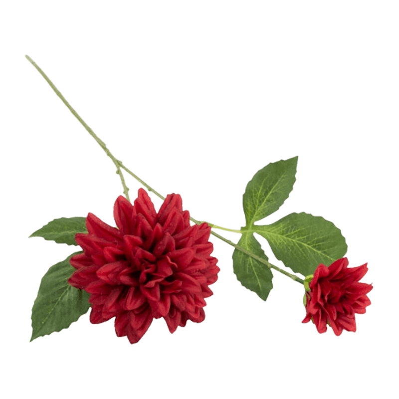 29"H Single Dahlia With Two Flowers