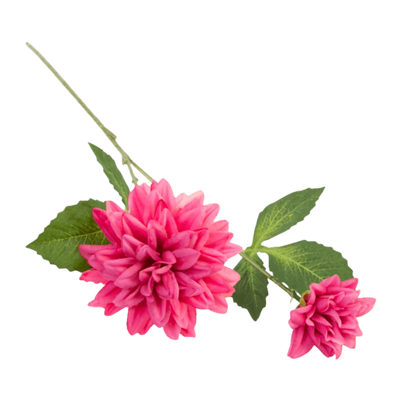 29"H Single Dahlia With Two Flowers