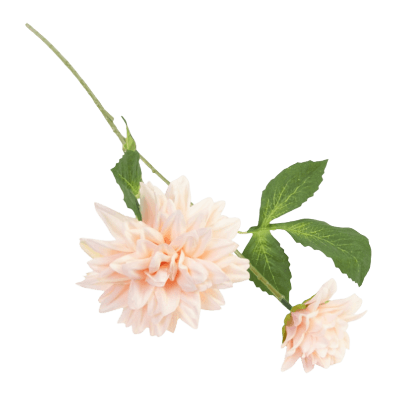 29"H Single Dahlia With Two Flowers