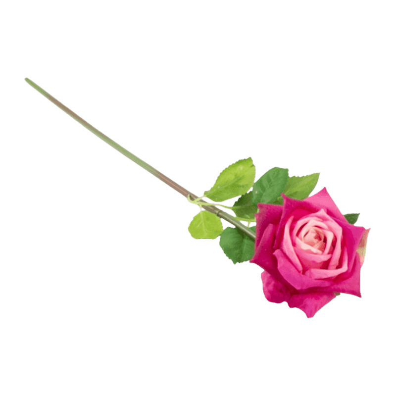 Single Rose With Green Leaves With REEL-TOUCH Effect