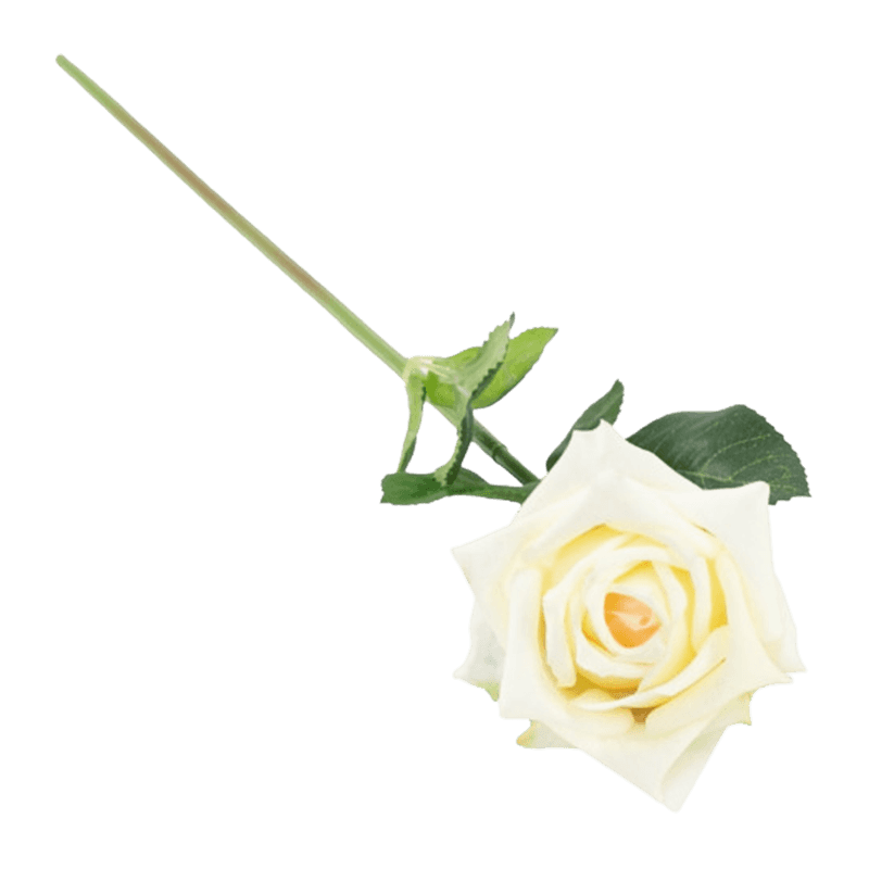 Single Rose With Green Leaves With REEL-TOUCH Effect