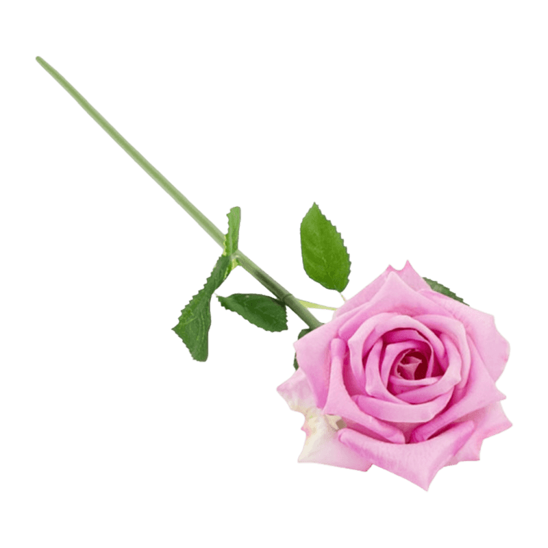 Single Rose With Green Leaves With REEL-TOUCH Effect