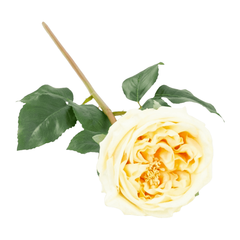 Artificial Rose Real Touch