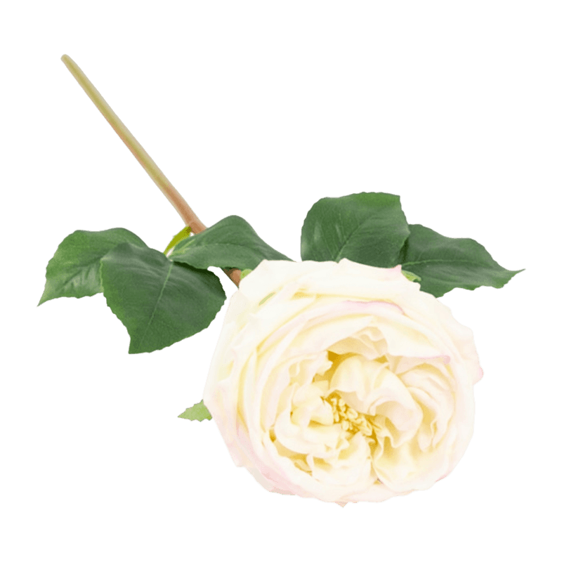 Artificial Rose Real Touch