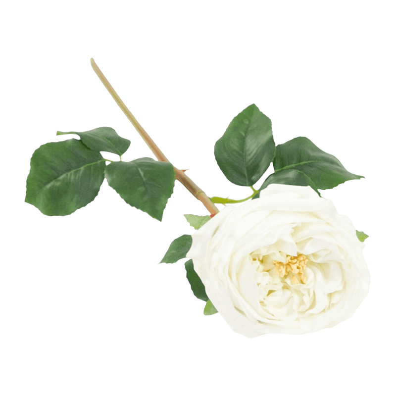 Artificial Rose Real Touch