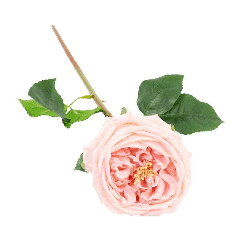 Artificial Rose Real Touch