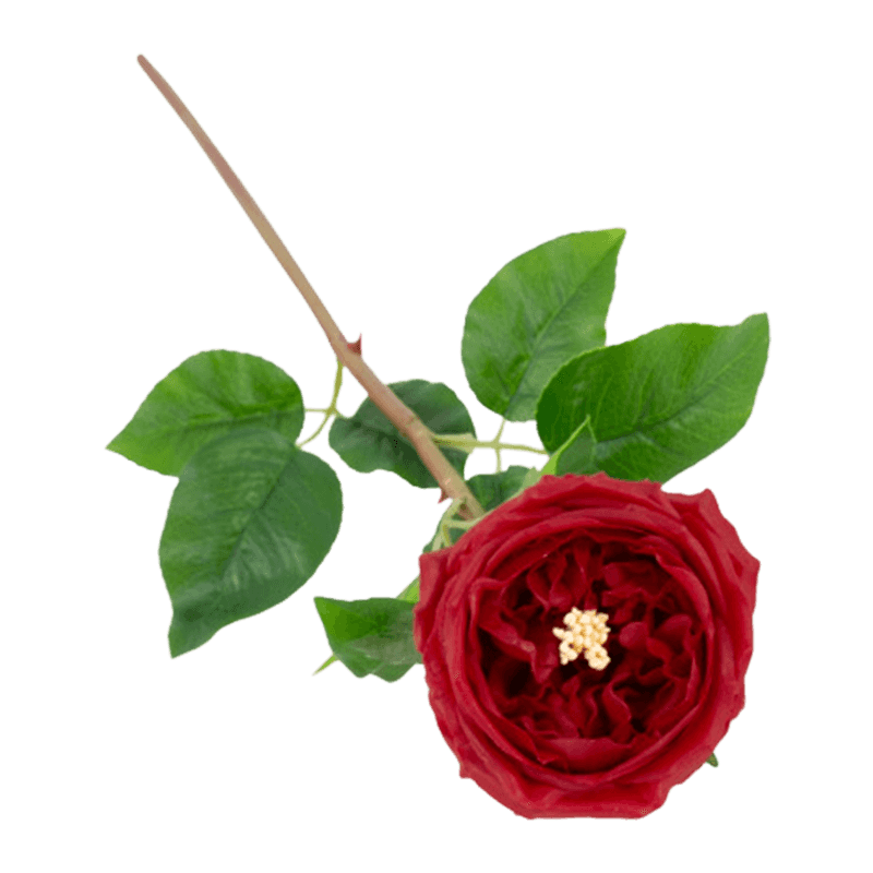 Artificial Rose Real Touch