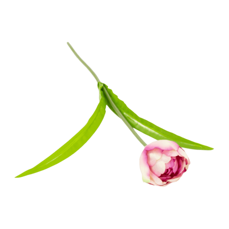 19.7"Artificial Tulip With 2 Leaves
