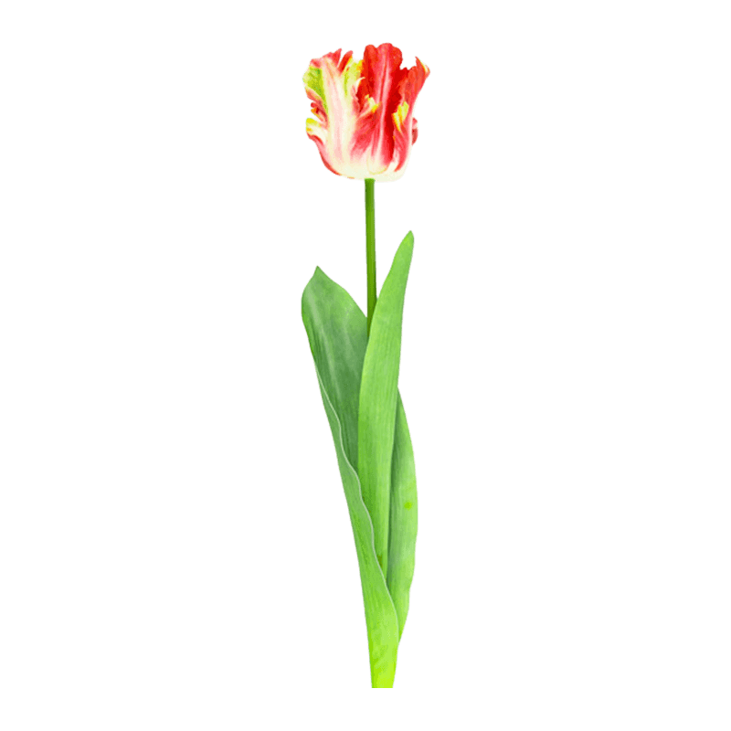 Artificial Parrot Tulip Flower