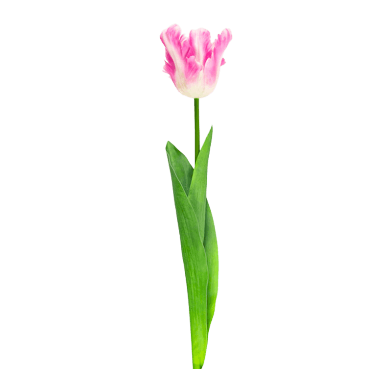 Artificial Parrot Tulip Flower