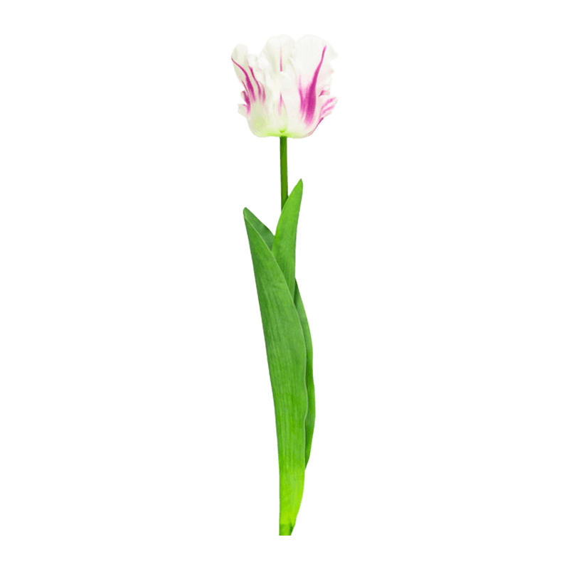 Artificial Parrot Tulip Flower