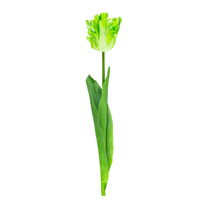 Artificial Parrot Tulip Flower