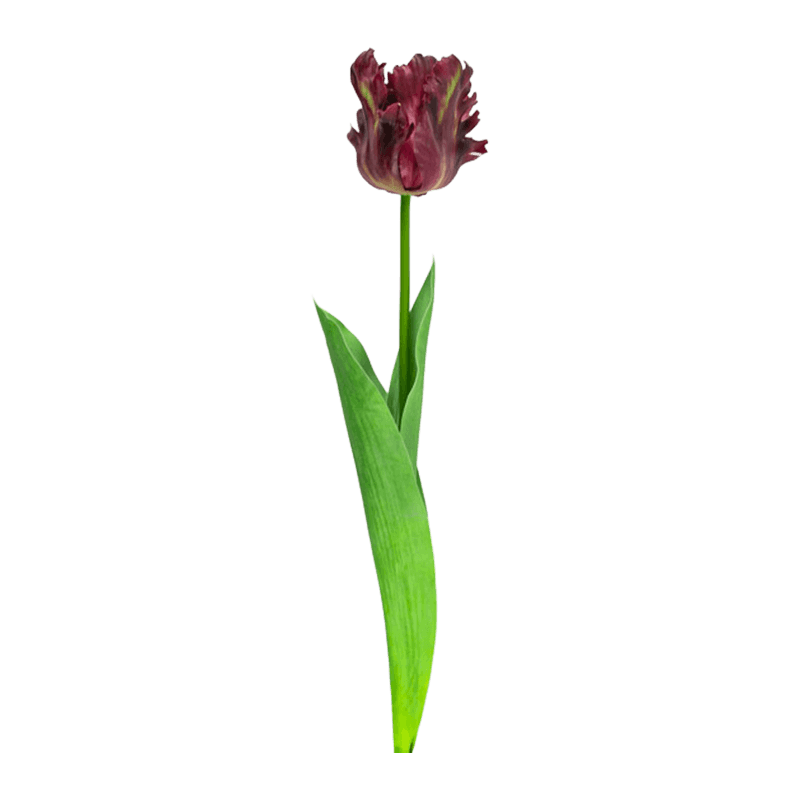 Artificial Parrot Tulip Flower
