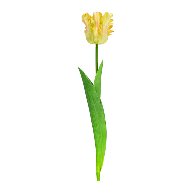 Artificial Parrot Tulip Flower