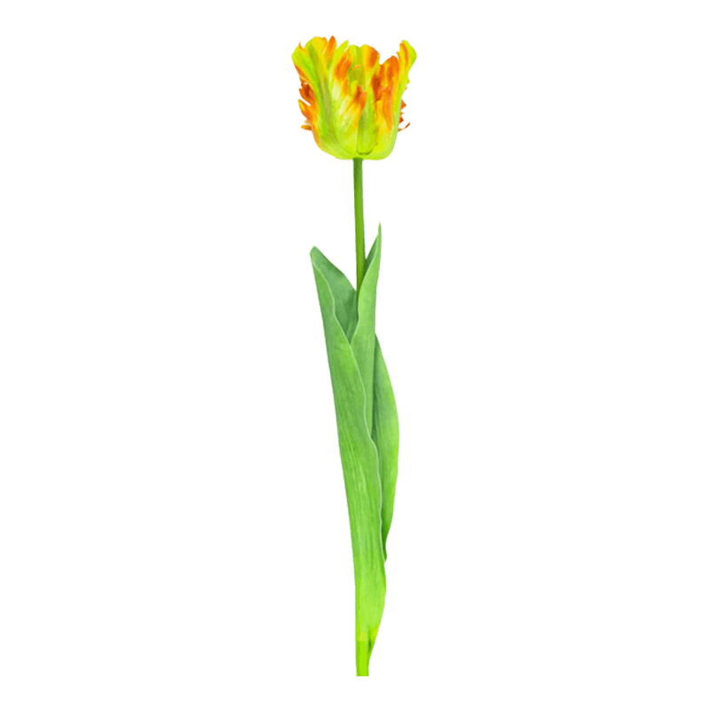 Artificial Parrot Tulip Flower