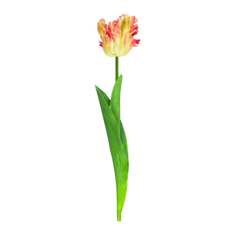 Artificial Parrot Tulip Flower