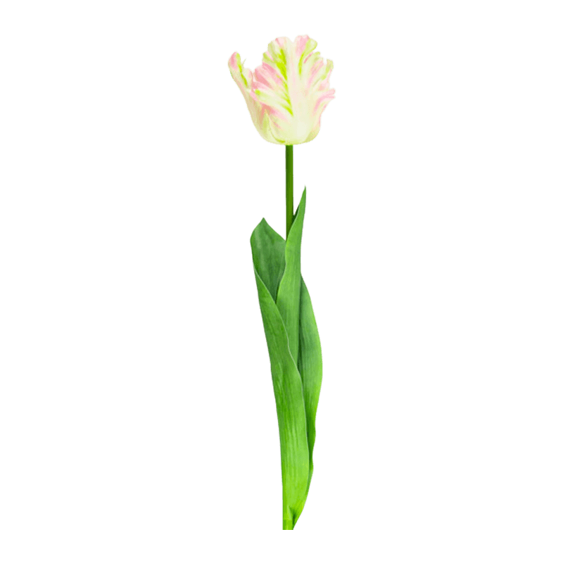Artificial Parrot Tulip Flower