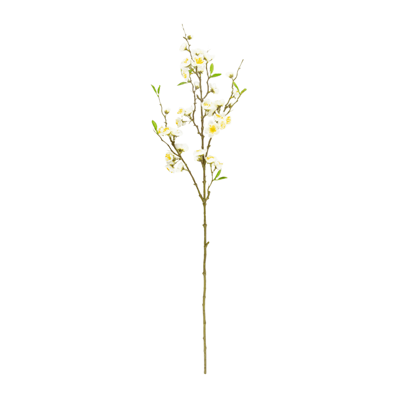 Blossom With 43 Flowers