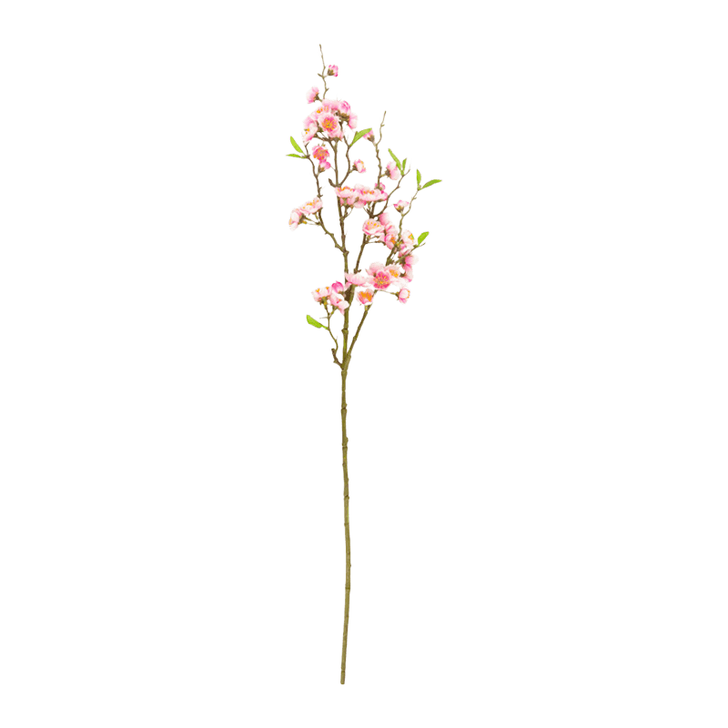 Blossom With 43 Flowers