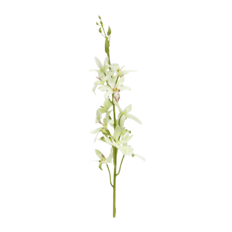 83cm Single Stem 12-Head Artificial Cymbidium
