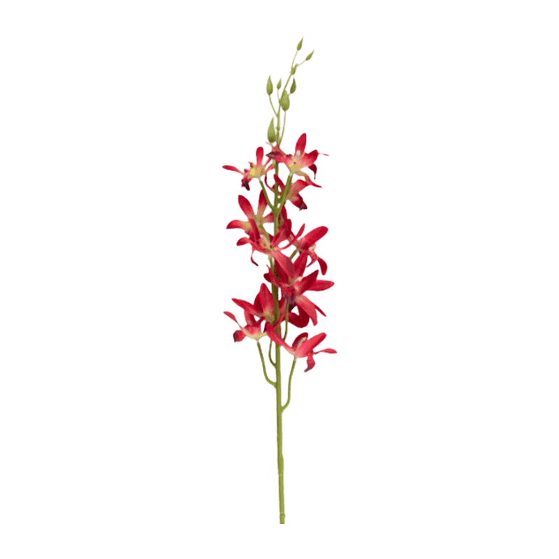83cm Single Stem 12-Head Artificial Cymbidium